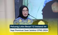 Peluang Lolos Besar! 12 Instansi Ini Sepi Peminat Saat Seleksi CPNS 2024