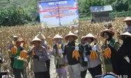 Motivasi Petani untuk Terus Tingkatkan Produktivitas Pertanian Kota Palu