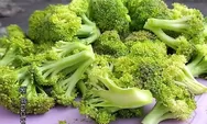 Cara Menyimpan Brokoli agar Segar Tahan Lama dan Dijamin Tidak Menguning, Bisa Tahan Sampai 6 Bulan Lho!