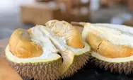 TOP 5 Kabupaten Penghasil Durian Terbesar di Jawa Tengah, Nomor 1 Bukan Wonogiri, tapi Daerah Ini...