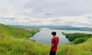 Bukit Teletubbies Ditutup Akibat Kebakaran, Apa yang Terjadi?