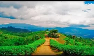 5 Tempat Wisata di Majalengka Tawarkan View Alam Yang Memukau, Cek Harga Tiket Masuk di Sini!