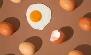 Kenapa Harga Telur Bisa Mahal?