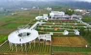 Artala Agroeduwisata Cipanas, Banyak Spot Foto Keren Dengan Destinasi Wisata Skywalk Putih