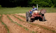 Mencengangkan! Traktor Listrik Terobosan Baru di Dunia Pertanian, Inilah Keunggulannya