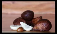 Salak Ternyata Baik Buat Bumil, Simak Manfaatnya!