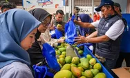 Pemberdayaan BRI Bawa Petani Mangga Bondowoso Tingkatkan Usaha dan Taraf Hidup Keluarga