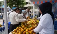 Jeruk Gerga Curup, Komoditas Unggulan di Bengkulu yang Kian Mendunia Berkat Pemberdayaan BRI