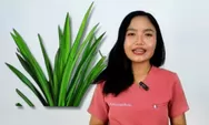 Bisa Mengatasi Ketombe, Inilah 8 Manfaat Daun Pandan Menurut Dokter Ema