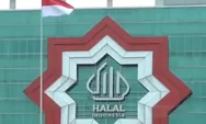 Mengejutkan! Ditemukan Kandungan Babi dalam Produk Bersertifikat Halal