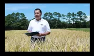 Dari Malang ke AS Jadi Profesor Tetap! Ilmuwan Indonesia Ciptakan Beras Super Tinggi Protein Pertama di Dunia