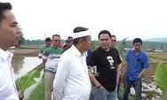 Jerami Jadi BBM Tuai Sorotan, Dedi Mulyadi Gercep Uji Coba