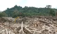 Dugaan Upaya Pemerintah Lindungi Oligarki Pembabat Hutan dalam Penanganan Bencana Aceh dan Sumatera