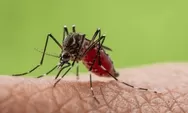 Mengenal konsep ABCD, upaya untuk cegah malaria