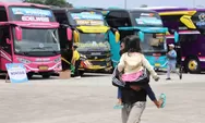 Mudik gratis Lebaran 2024, Kemenhub siapkan 722 bus dan sejumlah truk