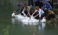 Jaga Kelestarian Ekosistem, 20 Ribu Benih Ikan Dilepas di 4 Telaga di Gunungkidul