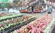 Aglaonema Park di Tridadi Sleman akan dibuka Juni 2024, salah satu spot swafotonya patung Bapak Aglaonema Indonesia