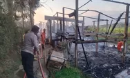 Kandang ayam Terbakar di Ambarawa, Sebanyak 7.000 Anak Ayam Ikut Hangus Terbakar, Ini Taksiran Kerugiannya