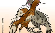  Cerita hidayah hobi yang menyesatkan, sejak kecil sudah suka sabung ayam