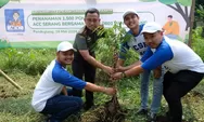 ACC dan Kodim 0601 Pandeglang Tanam 1.500 Bibit Pohon Albasiah