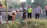 Seorang Kakek Tertabrak Kereta Api di Gamping Sleman, Ini Kronologinya