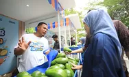 Petani Ini Berhasil Kembangkan Budidaya Alpukat Berkat Program Pemberdayaan BRI Klasterku Hidupku
