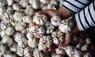 Harga bawang putih naik jadi Rp41.840 per kg, minyak curah turun menjadi Rp16.850 per kg