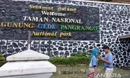 Pendakian Gunung Gede-Pangrango Ditutup hingga Maret 2025, Ini Penjelasan TNGGP