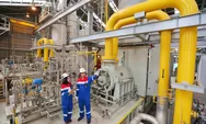 Keberlanjutan Industri Jadi Prioritas, PGN Siapkan Alternatif Sumber Gas