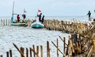 Pagar laut tak hanya punya dampak ekologi, Peneliti BRIN: Berdampak juga sosial dan ekonomi