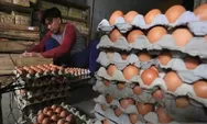 Hari ini, harga cabai rawit Rp68.600/kg, telur ayam Rp29.800/kg