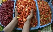 Libatkan Pemerintah Pusat ,  Lonjakan Harga Cabai Mulai Ditangani