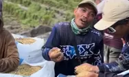 Beredar Video Keluhan Petani Asal Lampung Soal Harga Gabah Anjlok di Bawah HPP: Padahal Ini Padi Kualitas Tinggi!