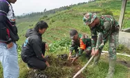 TMMD ke-125 Kodim Temanggung Hijaukan Lereng Sumbing, Memanen Oksigen 