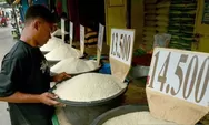 Bapanas mencatat, harga beras premium di tingkat konsumen turun jadi Rp15.988/kg, medium Rp13.709/kg