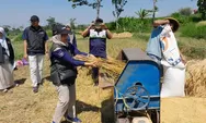 Stok cadangan beras gabah di Jateng 307.341 ton, Bulog lakukan penyerapan ke petani