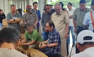 Serapan 70 persen, kualitas tembakau di Temanggung berkurang dampak cuaca