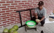 Pemerintah Kalurahan Jatimulyo kembangkan kelapa kopyor di Kampung Kopyor Semuten, ini yang dilakukan