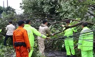 Belasan Pohon Tumbang di Salatiga Diterjang Angin Kencang dan Hujan Deras