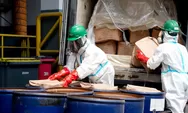 Barantin dan Satgas Cs-137 Musnahkan 5,7 Ton Udang Terkontaminasi Cesium