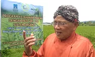 Pemdes Madurejo Prambanan tanam padi HMS 700 sistem organik, benih unggul produktivitas panen 12 ton per hektar