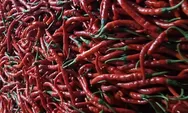 Satu ton cabai merah keriting asal Sleman dikirim ke Pekanbaru Riau, diharapkan menjadi percontohan bagi BUMD lain di Indonesia