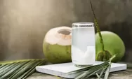 Rahasia Kesehatan Terungkap! Air Kelapa, Minuman Populer Saat Buka Puasa, Ternyata Punya Lima Manfaat Luar Biasa!