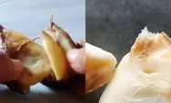 Viral Wali Murid Keluhkan Buah Salak MBG: Ada Belatungnya
