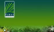 Tanam Sawit di Kawasan Hutan, First Resources Bayar US$5,6 Juta