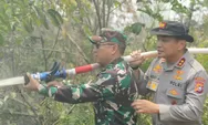 Hot Spot Melonjak di Riau, Irjen Herry: Lawan Karhutla dengan Green Policing