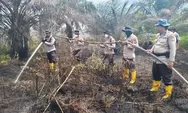 Polsek Batu Hampar bersama Tim Gabungan Lakukan Pendinginan Dilahan Terdampak Karhutla 
