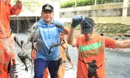 Tekan Populasi Ikan Sapu-Sapu, 70 Personel Gabungan Turun di Pulo Gadung