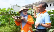 Munjirin Apresiasi Kelompok Tani Geber Tabur, Panen Melon Kedua Tembus Kualitas Premium