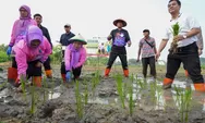 Munjirin Pimpin Gerakan Tanam Serentak di 162 Titik, Perkuat Ketahanan Pangan Jakarta Timur